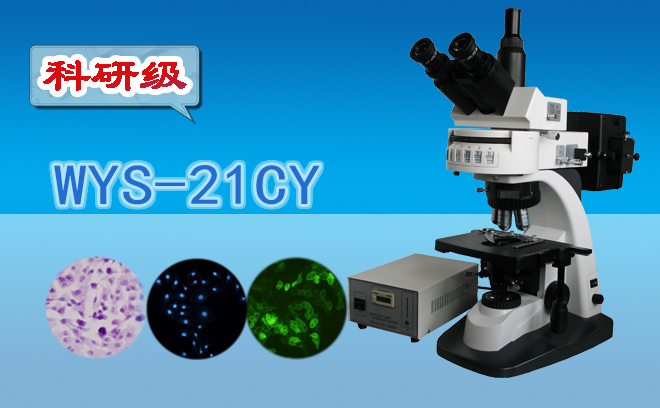 熒光顯微鏡技術包括哪幾種？